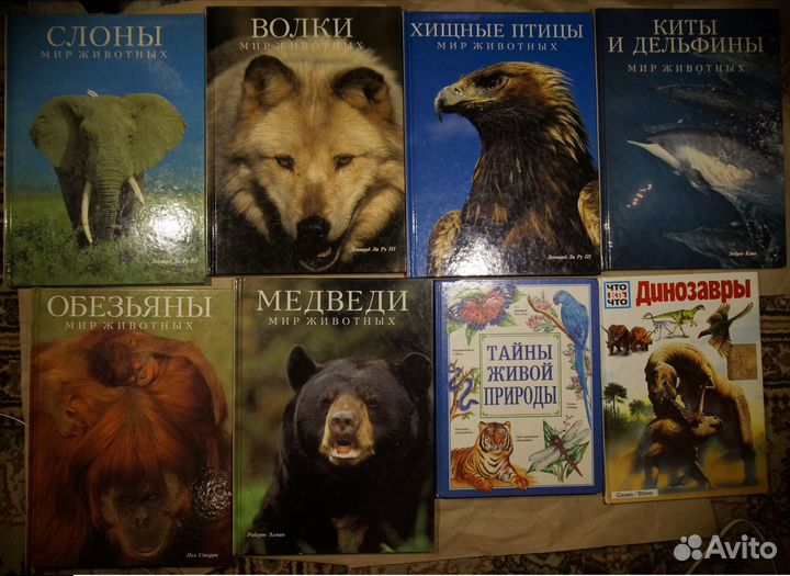 Охота, животные, путешествия