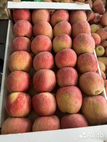 Яблоки оптом