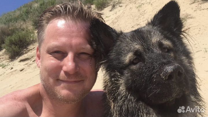 Ипотечный брокер