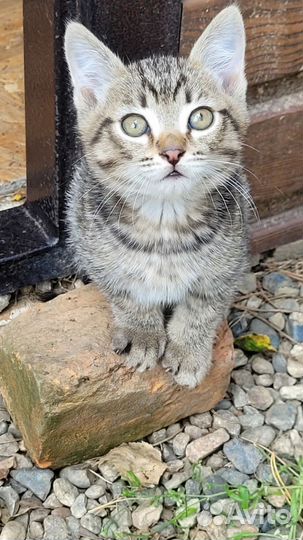 Милые мальчики