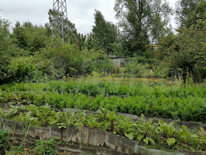 Дача 31,1 м² на участке 6,4 сот.