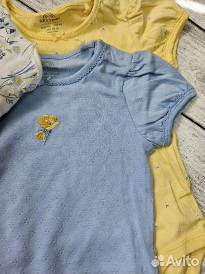 Красивые боди