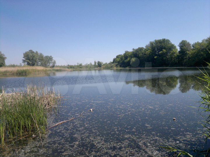Участок 6,1 сот. (СНТ, ДНП)