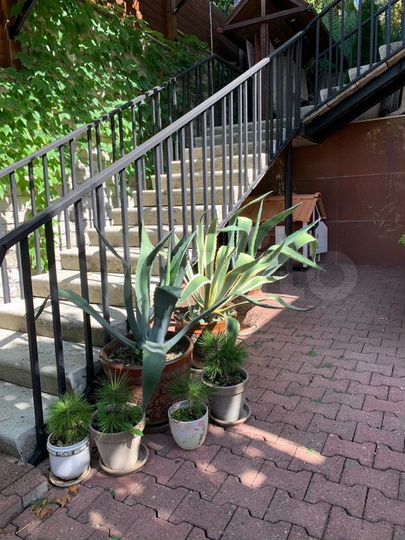 Коттедж 90 м² на участке 3 сот.