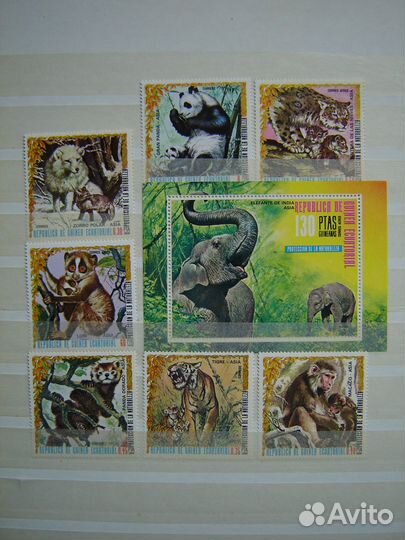 Фауна. Выпуски Экваториальной Гвинеи