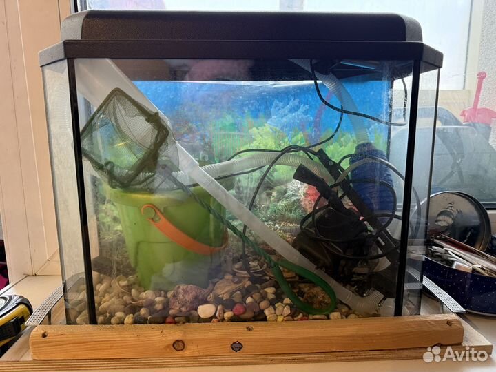 Аквариум