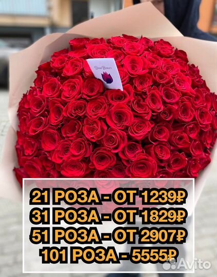 101 роза букет
