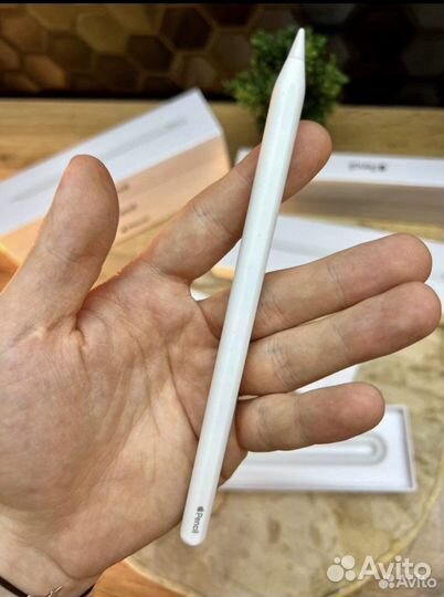 Apple pencil 2