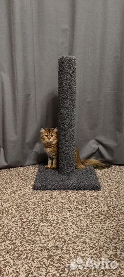 Когтеточка новая