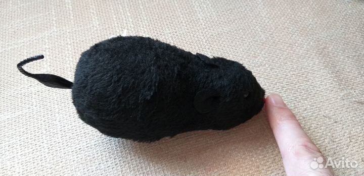 Мышка для кошки