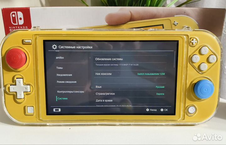 Nintendo switch lite прошита