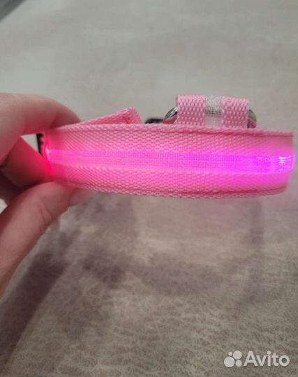Светящийся ошейник