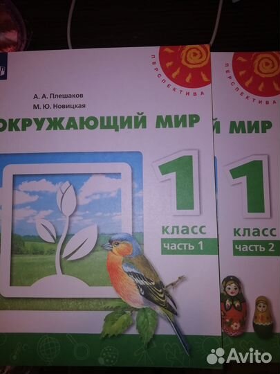 Рабочие тетради:школа россии и перспектива