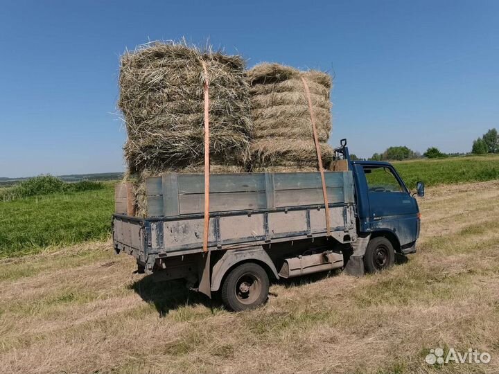 Сено в рулонах