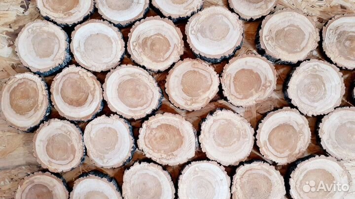 Торцевой спил дерева