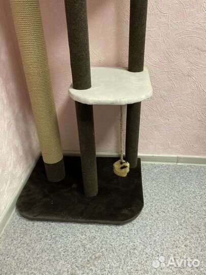 Когтеточка для кошек