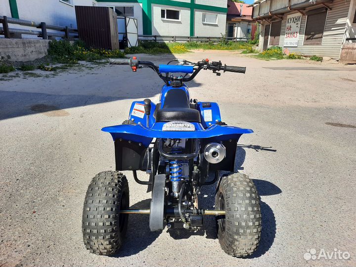 Квадроцикл ATV 110 В идеале