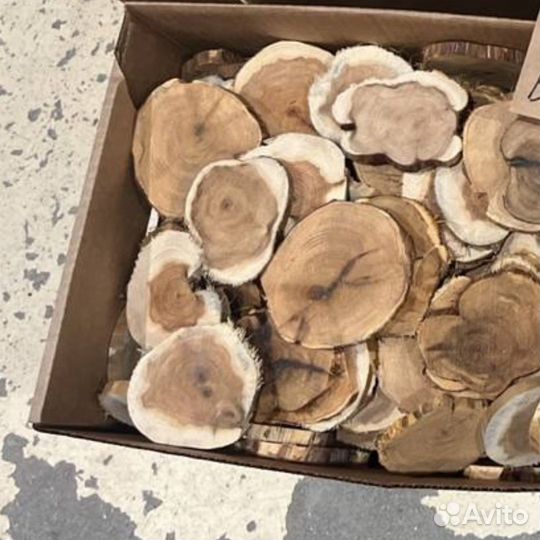 Спилы можжевельника