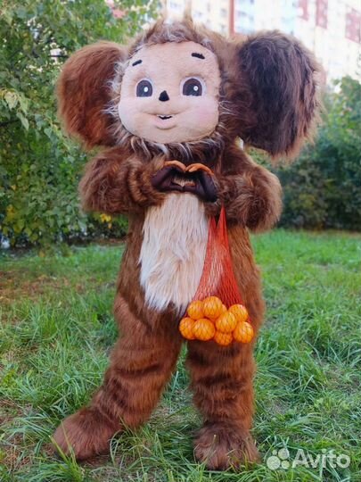 Экспресс поздравление живая открытка