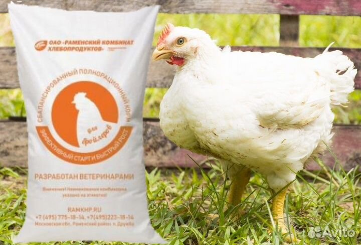 Корм для домашней птицы-6