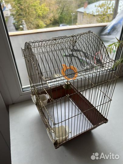 Клетка для попугая