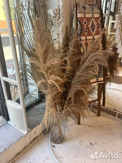 Помпасная трава комозиция в вазах сухоцветы