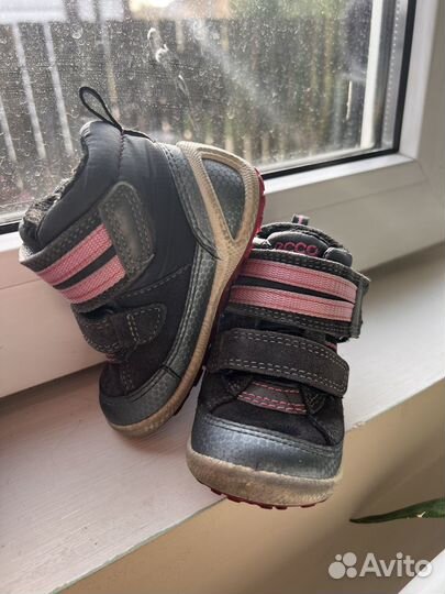 Ботинки зимние демисезон ecco biom goretex 20