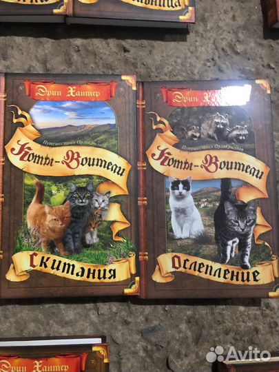 Книги циклы коты воители
