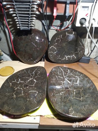 Две половинки одного целого септария в разрезе