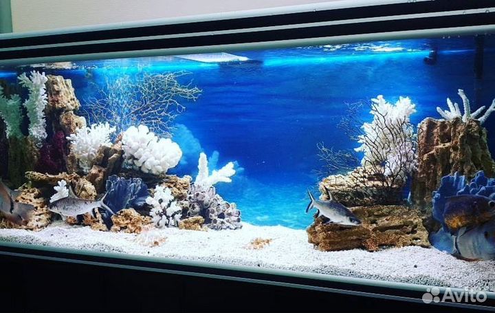 Обслуживание аквариумов и террариумов