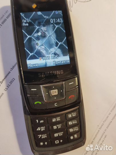 Samsung DuoS SGH-D880