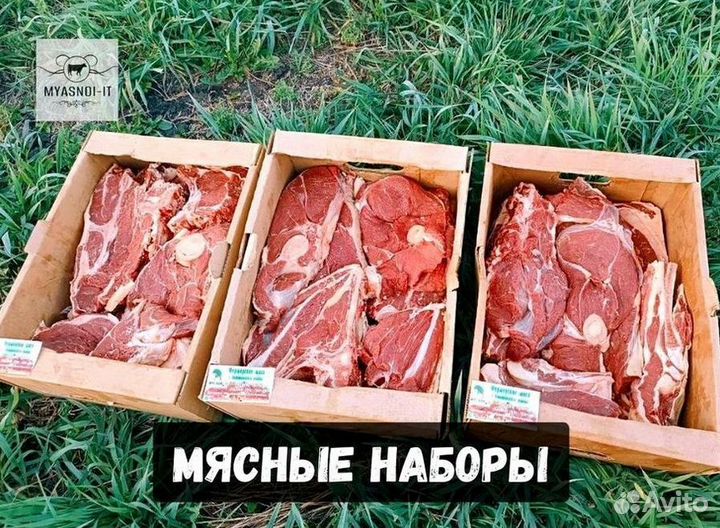 Мясо телятины