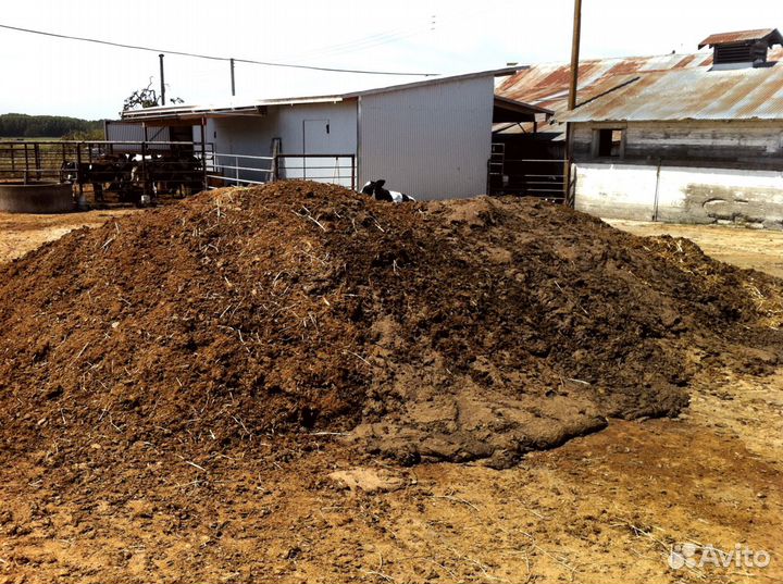 Перегной С доставкой