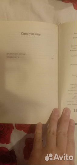 Отцы и дети. Дворянское гнездо