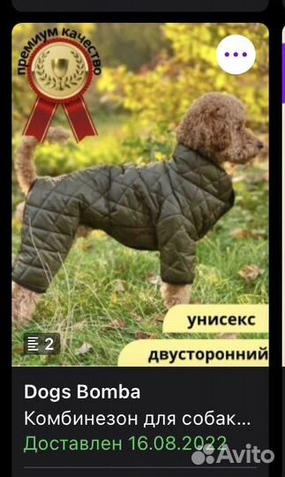 Одежда для собак