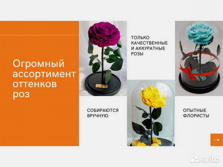 Роза в колбе. Живая