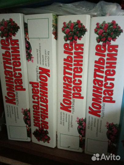 Комнатные растения