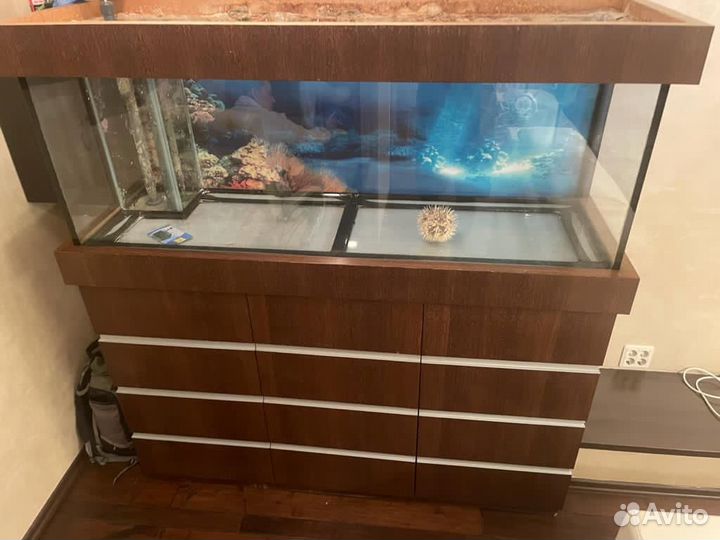 Аквариум