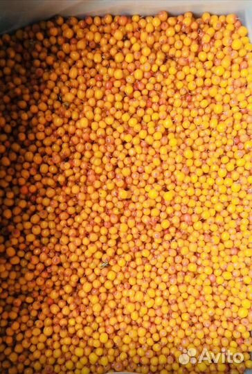 Облепиха замороженная оптом