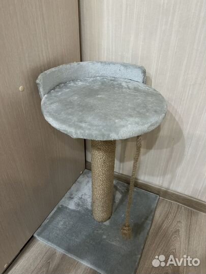 Когтеточка