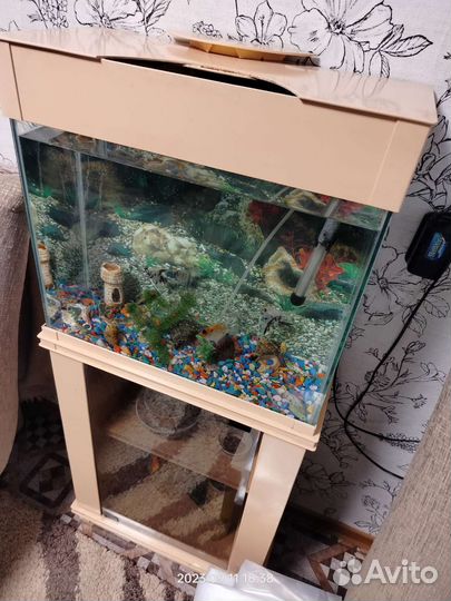 Аквариум с рыбами