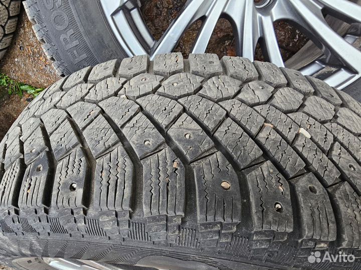 Gislaved Nord Frost 200 195/65 R15