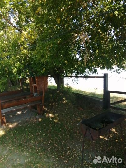 Отдых на берегу реки Катунь