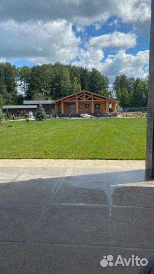 Рулонный газон от производителя стандарт