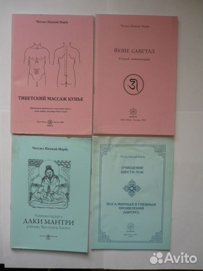 Чогьял Намкай Норбу Тибетский буддизм