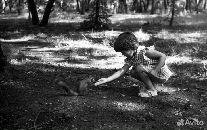 Оцифровка (сканирование) фотоплёнок и фотографий