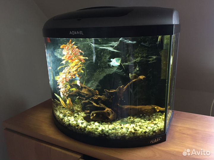 Аквариум Aquael Pearl панорамный