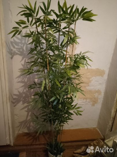 Искусственный бамбук,высота 1,5