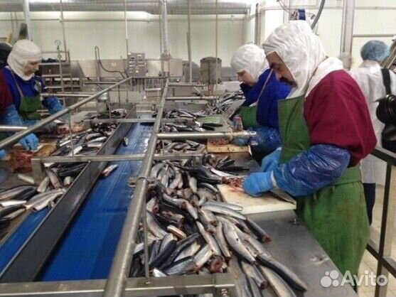 Разнорабочий (вахтовый метод работы)