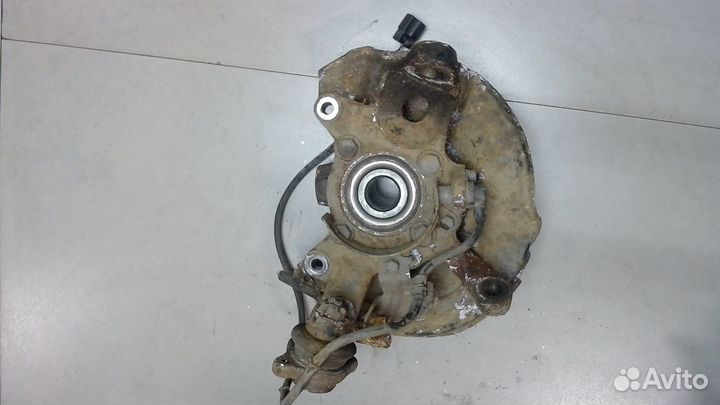 Ступица (кулак, цапфа) Mitsubishi Pajero / Montero